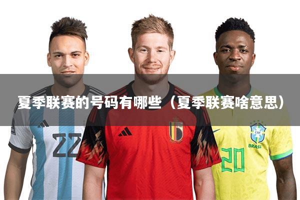 夏季联赛的号码有哪些（夏季联赛啥意思）