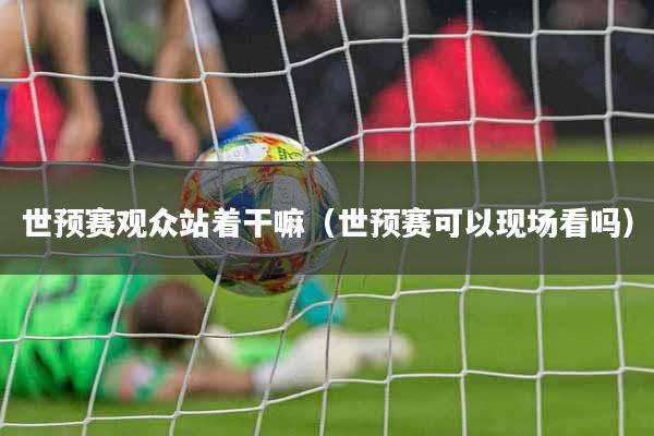 世预赛观众站着干嘛（世预赛可以现场看吗）