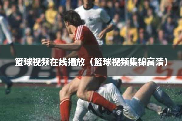 篮球视频在线播放（篮球视频集锦高清）