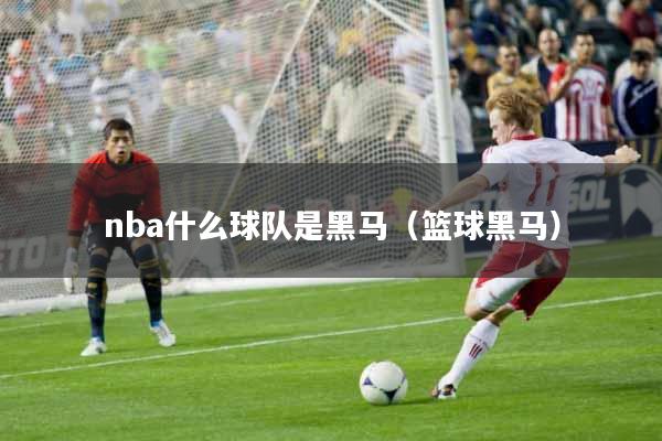 nba什么球队是黑马（篮球黑马）